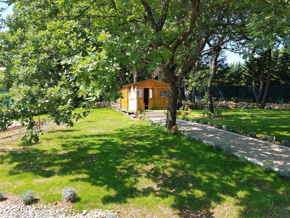 Bed and Breakfast Les Lézards au Soleil Draguignan Exterior foto